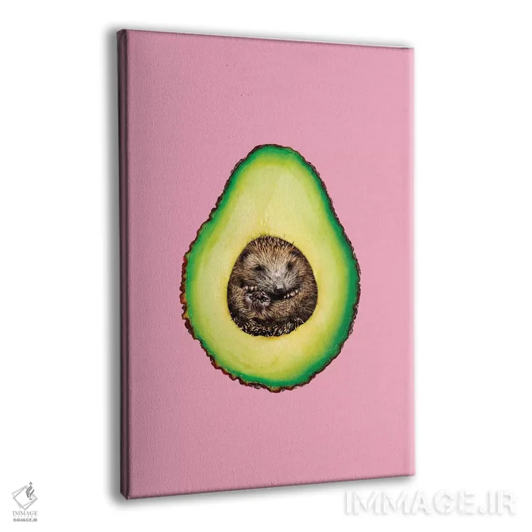 تابلو دکوراتیو "جوجه تیغی آواکادو " اثر یوناس لوس - نمای پرسپکتیو محصول