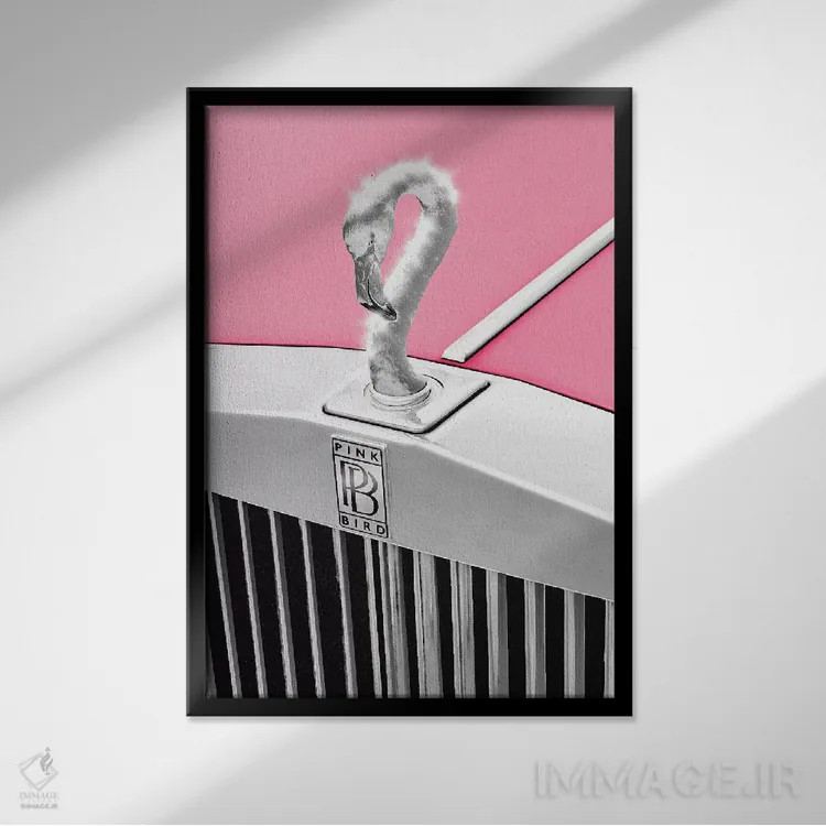 تابلو دکوراتیو "پرنده صورتی" اثر یوناس لوس - نمای قابدار مشکی