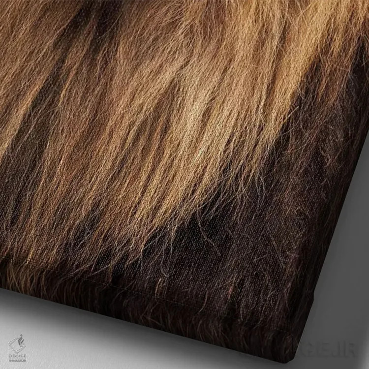 تابلو دکوراتیو "شیر ریش دار" اثر یوناس لوس - نمای نزدیک بافت بوم