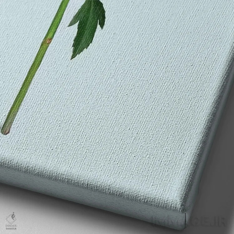 تابلو دکوراتیو "گل فلامینگو" اثر یوناس لوس - نمای نزدیک بافت بوم