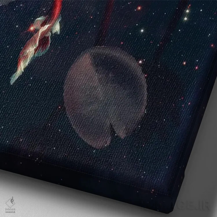 تابلو دکوراتیو "شنا در فضا" اثر یوناس لوس - نمای نزدیک بافت بوم