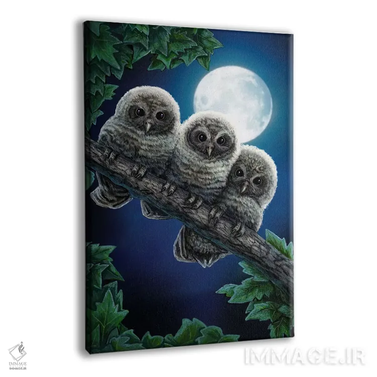 تابلو دکوراتیو "قدرت سه گان" اثر لیزا پارکر - نمای پرسپکتیو محصول