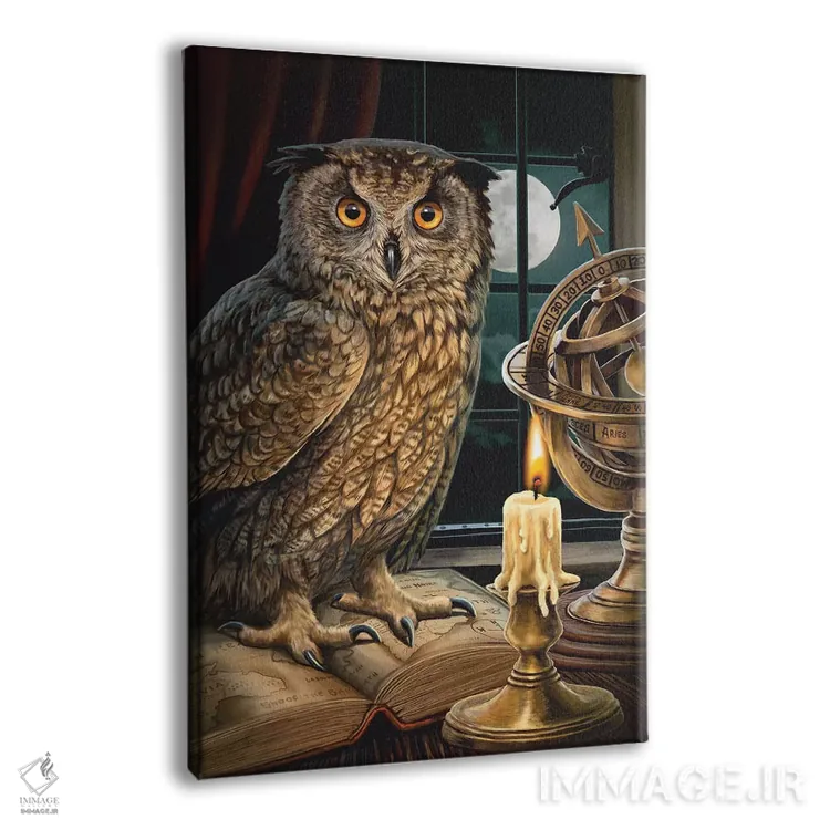 تابلو دکوراتیو "ستاره شناس" اثر لیزا پارکر - نمای پرسپکتیو محصول