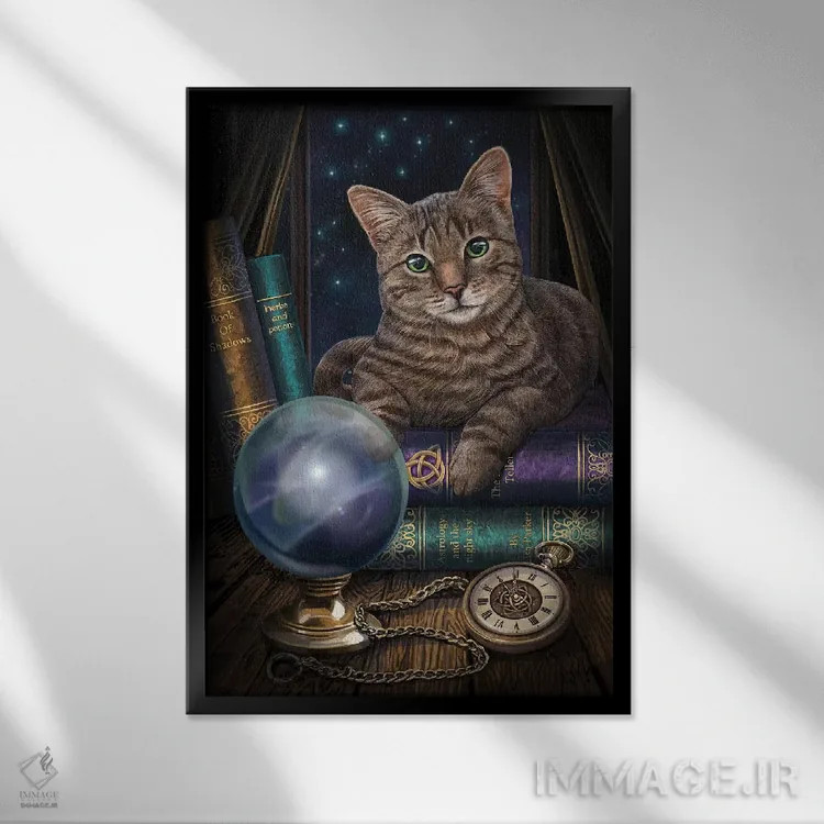 تابلو دکوراتیو "فالگیر" اثر لیزا پارکر - نمای قابدار مشکی