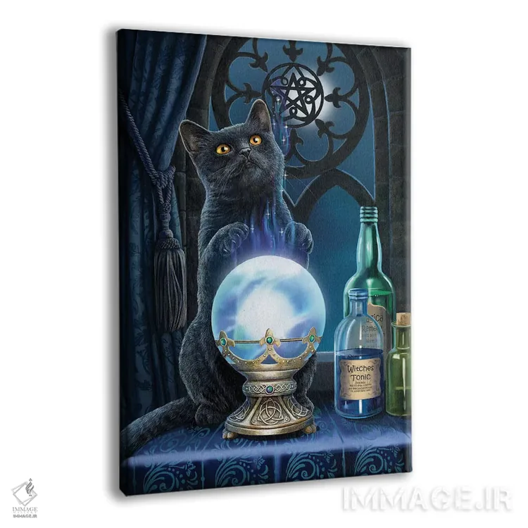 تابلو دکوراتیو "شاگرد جادوگر" اثر لیزا پارکر - نمای پرسپکتیو محصول