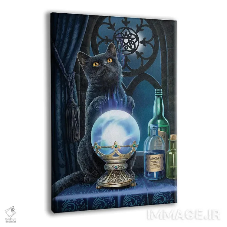 تابلو دکوراتیو "شاگرد جادوگر" اثر لیزا پارکر - نمای پرسپکتیو محصول