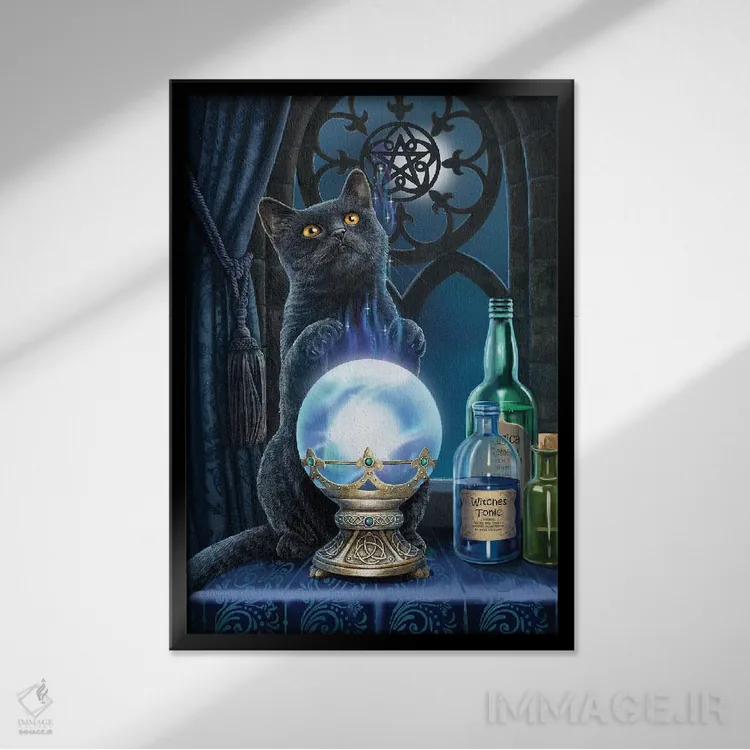 تابلو دکوراتیو "شاگرد جادوگر" اثر لیزا پارکر - نمای قابدار مشکی