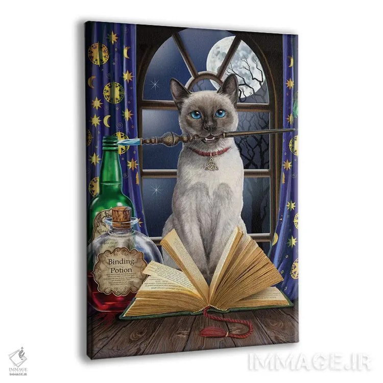 تابلو دکوراتیو "هکاس پوکاس " اثر لیزا پارکر - نمای پرسپکتیو محصول