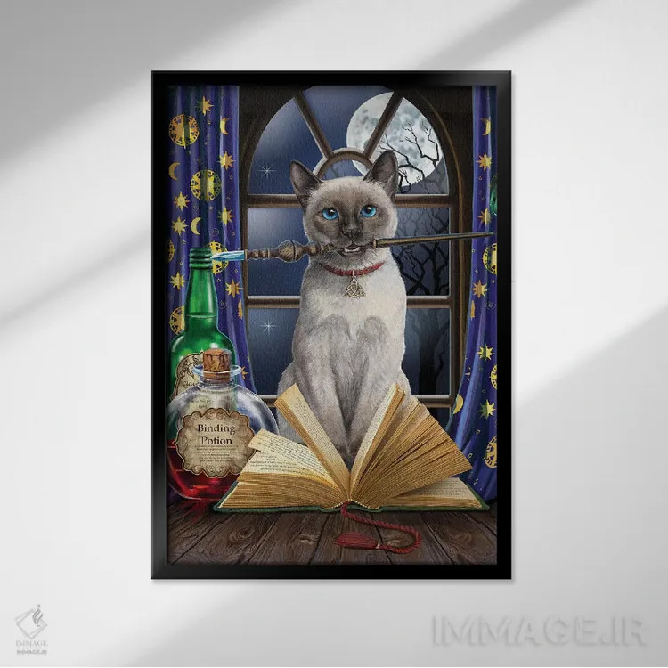 تابلو دکوراتیو "هکاس پوکاس " اثر لیزا پارکر - نمای قابدار مشکی