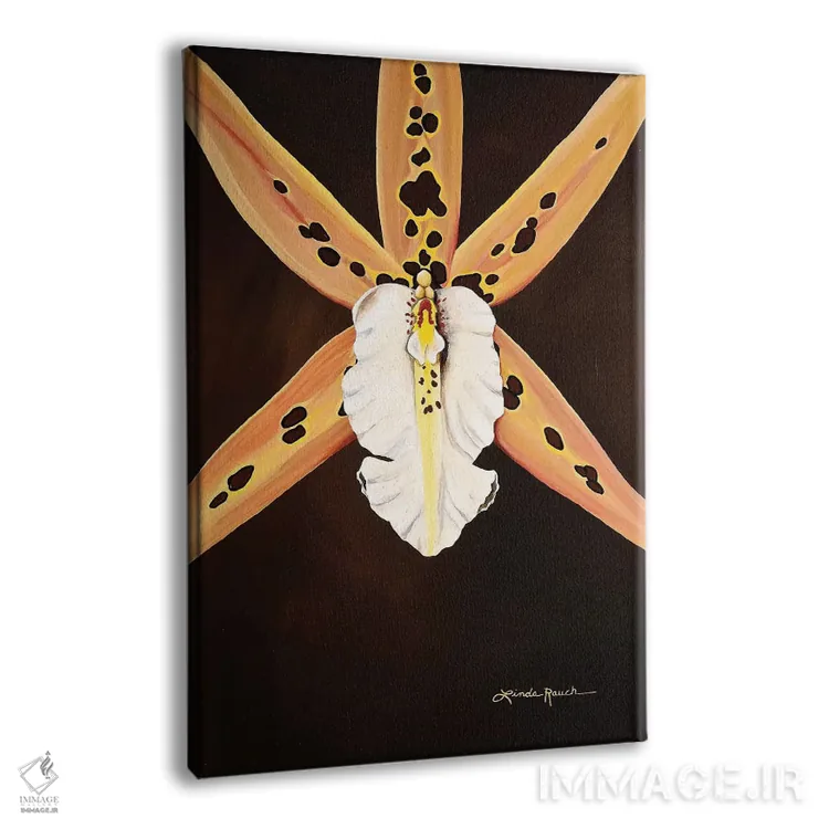 تابلو دکوراتیو ملکه آفریقایی اثر لیندا راوچ - نمای پرسپکتیو محصول