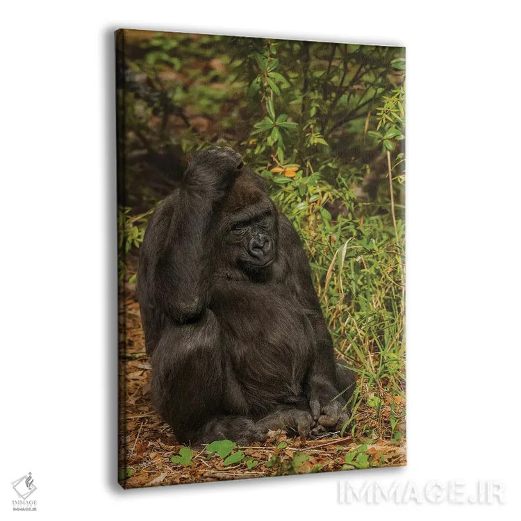 تابلو دکوراتیو در فکر آن اثر لوئیس راث - نمای پرسپکتیو محصول