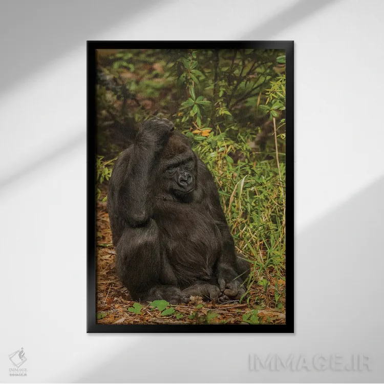 تابلو دکوراتیو در فکر آن اثر لوئیس راث - نمای قابدار مشکی