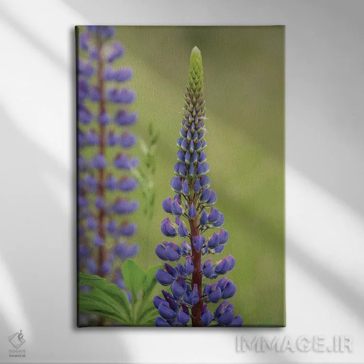 تابلو دکوراتیو زیبایی لوپین ۳ اثر لوئیس راث - نمای روبهرو روی دیوار