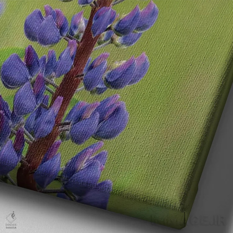 تابلو دکوراتیو زیبایی لوپین ۳ اثر لوئیس راث - نمای نزدیک بافت بوم