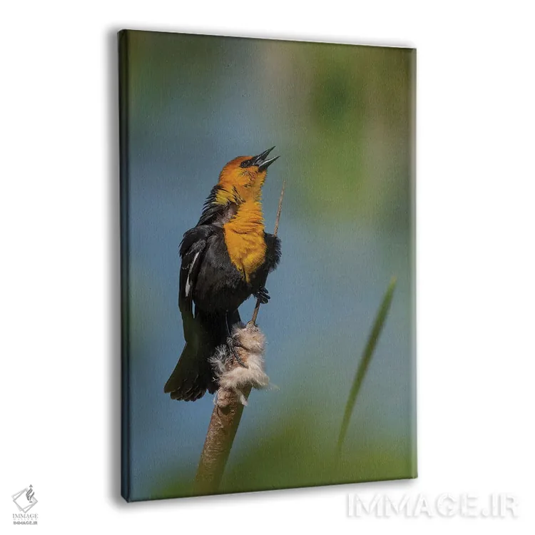 تابلو دکوراتیو آواز تاکیدی اثر لوئیس راث - نمای پرسپکتیو محصول