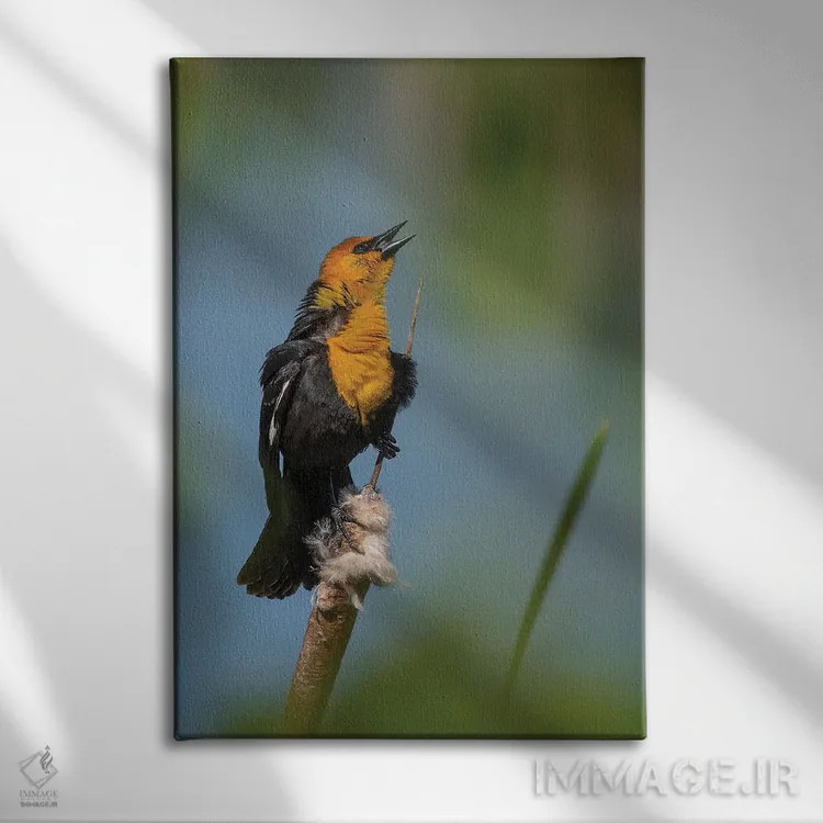 تابلو دکوراتیو آواز تاکیدی اثر لوئیس راث - نمای روبهرو روی دیوار