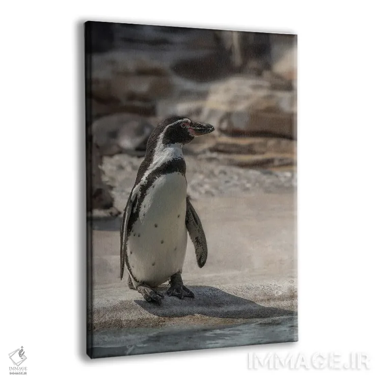 تابلو دکوراتیو پنگوئن تنها اثر لوئیس راث - نمای پرسپکتیو محصول