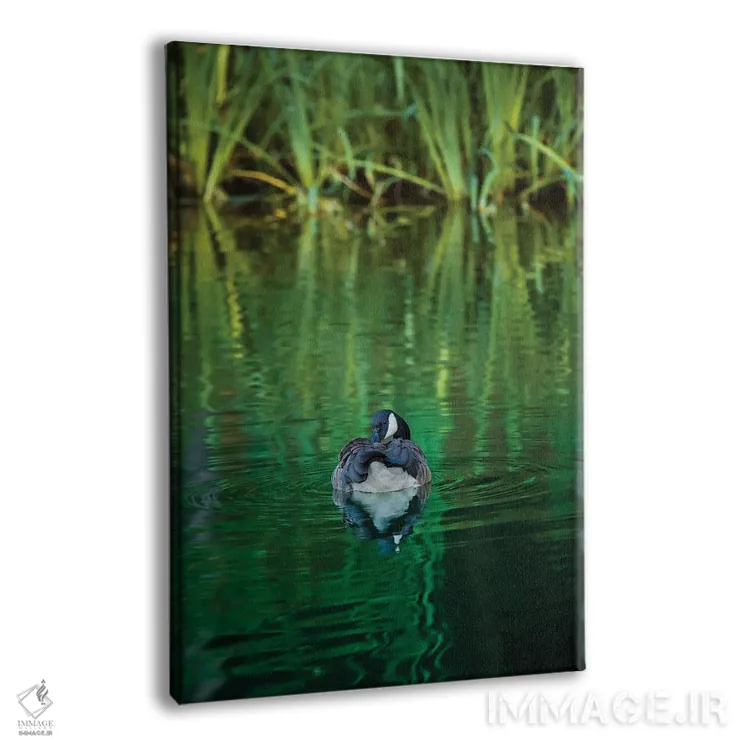 تابلو دکوراتیو یک شب زمرباور اثر لوئیس راث - نمای پرسپکتیو محصول