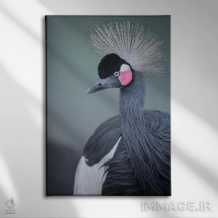 تابلو دکوراتیو نمای نیمرخ درنا تاج سیاه اثر لوئیس راث - نمای روبهرو روی دیوار