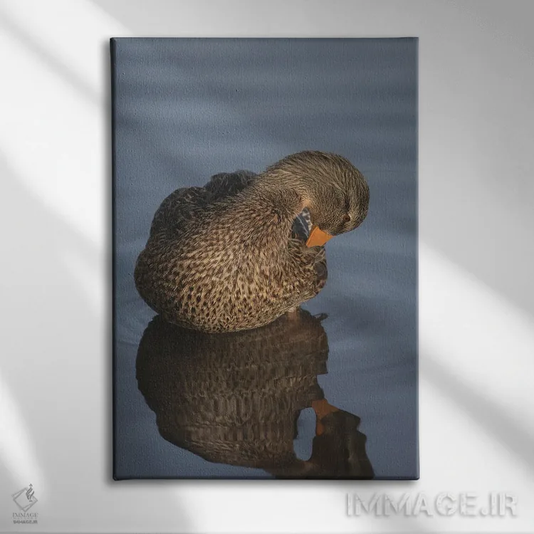 تابلو دکوراتیو هنر مرتب کردن پرها اثر لوئیس راث - نمای روبهرو روی دیوار