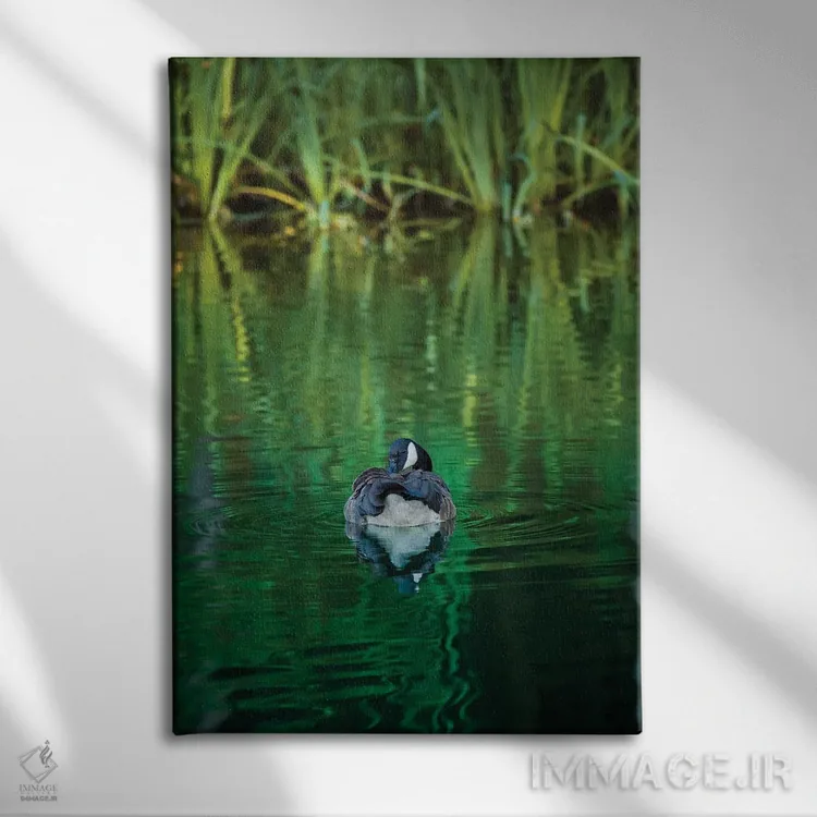 تابلو دکوراتیو یک شب زمرباور اثر لوئیس راث - نمای روبهرو روی دیوار