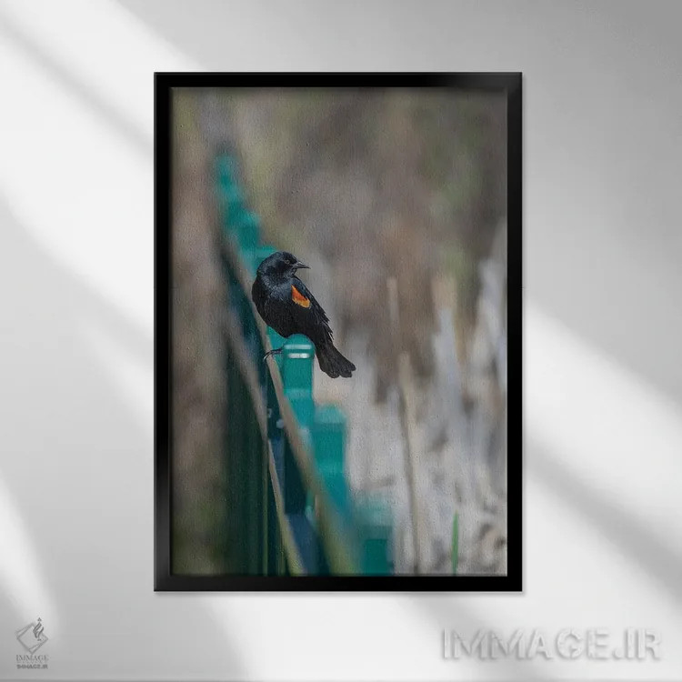 تابلو دکوراتیو پیچ و تاب بوکه اثر لوئیس راث - نمای قابدار مشکی