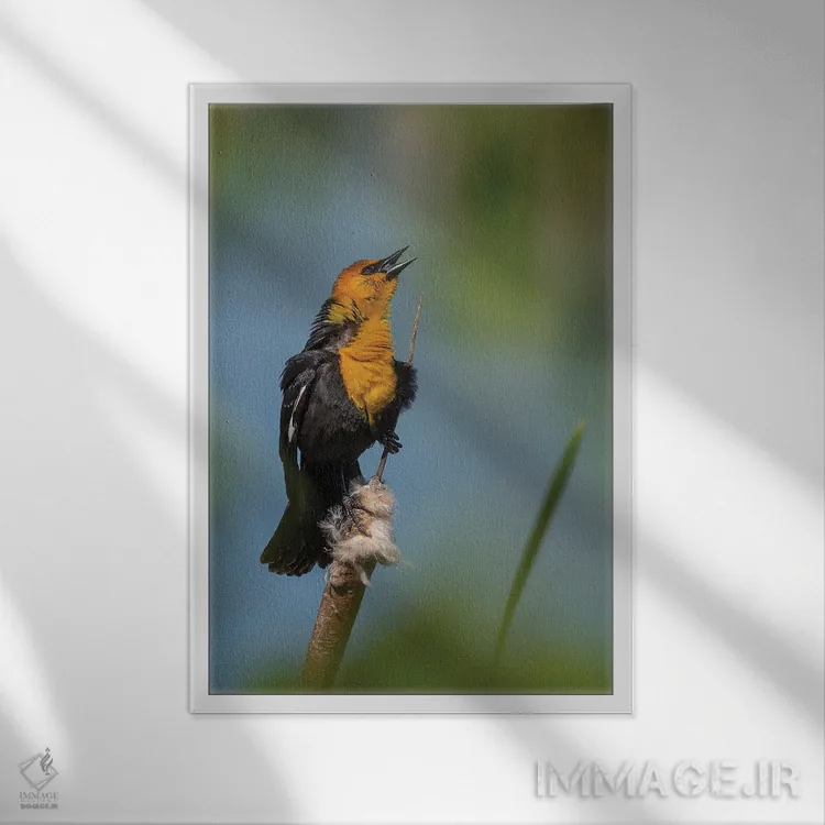 تابلو دکوراتیو آواز تاکیدی اثر لوئیس راث - نمای قابدار سفید