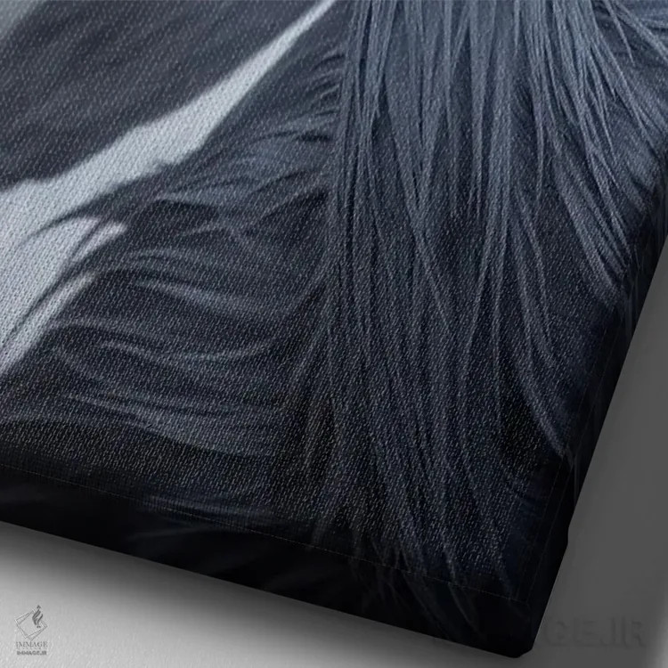 تابلو دکوراتیو نمای نیمرخ درنا تاج سیاه اثر لوئیس راث - نمای نزدیک بافت بوم