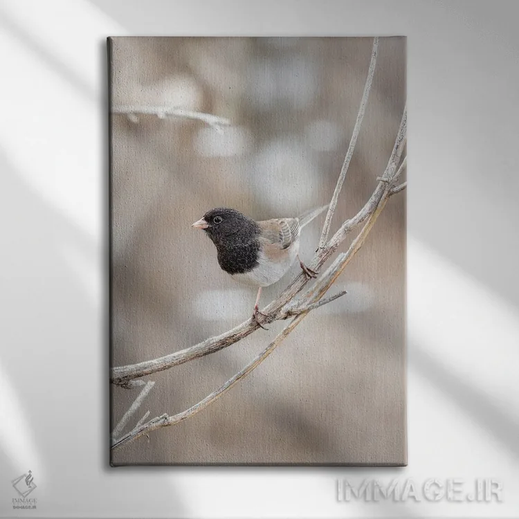 تابلو دکوراتیو روی شاخه من اثر لوئیس راث - نمای روبهرو روی دیوار