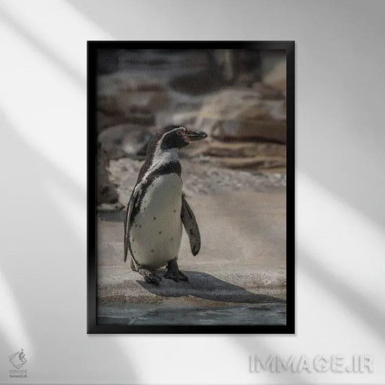 تابلو دکوراتیو پنگوئن تنها اثر لوئیس راث - نمای قابدار مشکی