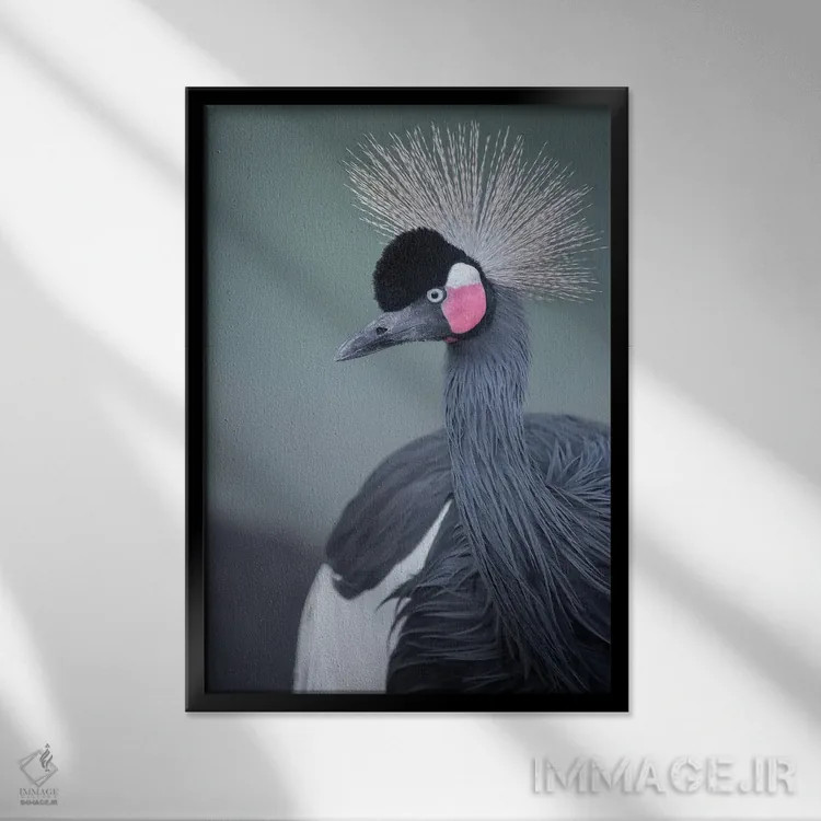 تابلو دکوراتیو نمای نیمرخ درنا تاج سیاه اثر لوئیس راث - نمای قابدار مشکی