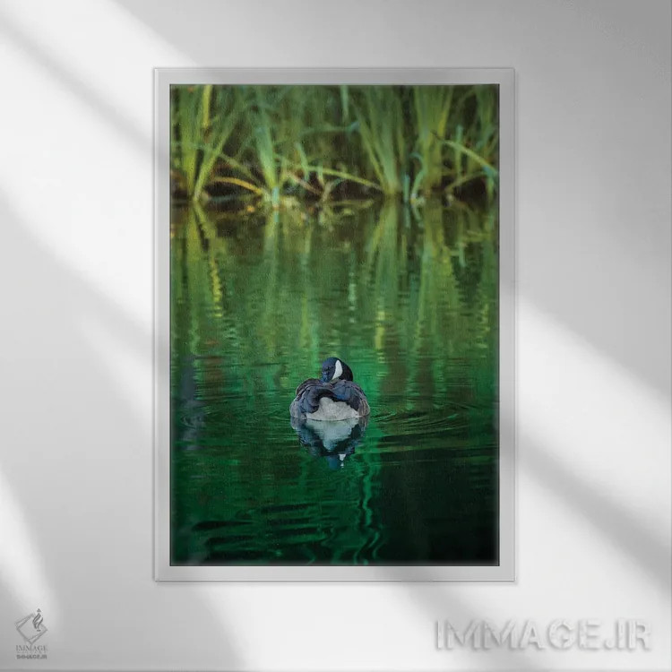 تابلو دکوراتیو یک شب زمرباور اثر لوئیس راث - نمای قابدار سفید