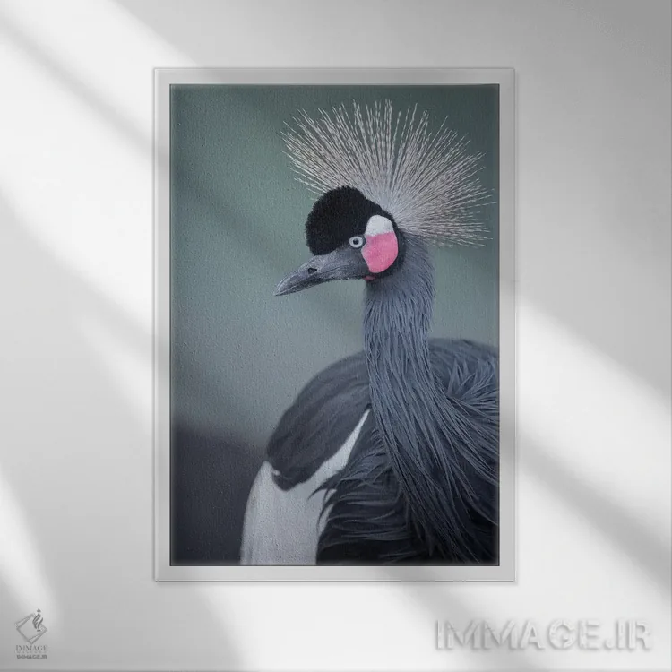 تابلو دکوراتیو نمای نیمرخ درنا تاج سیاه اثر لوئیس راث - نمای قابدار سفید