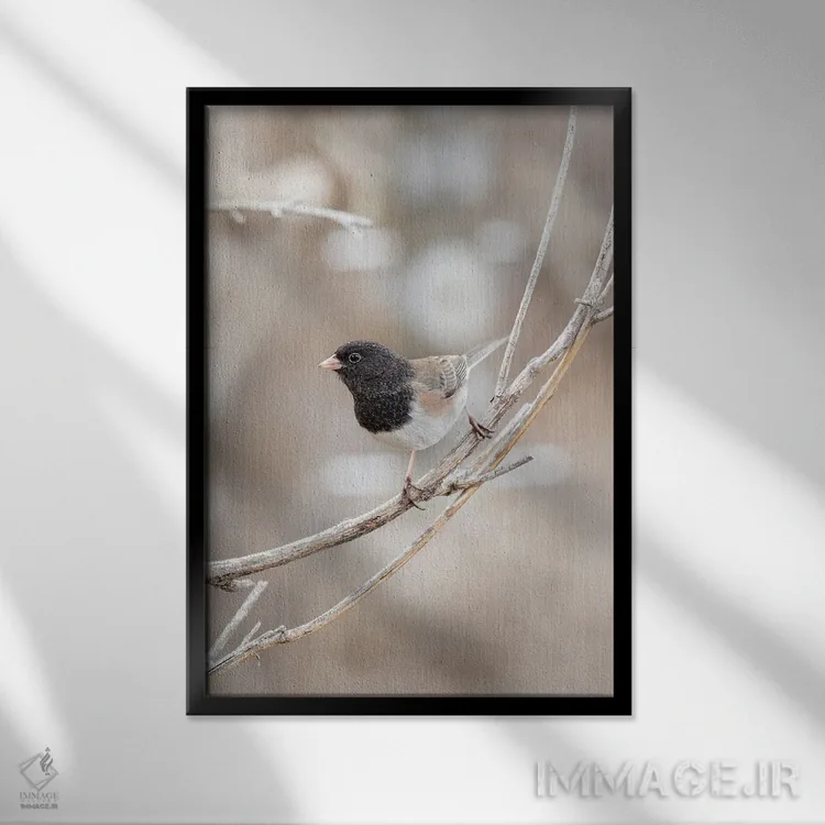 تابلو دکوراتیو روی شاخه من اثر لوئیس راث - نمای قابدار مشکی