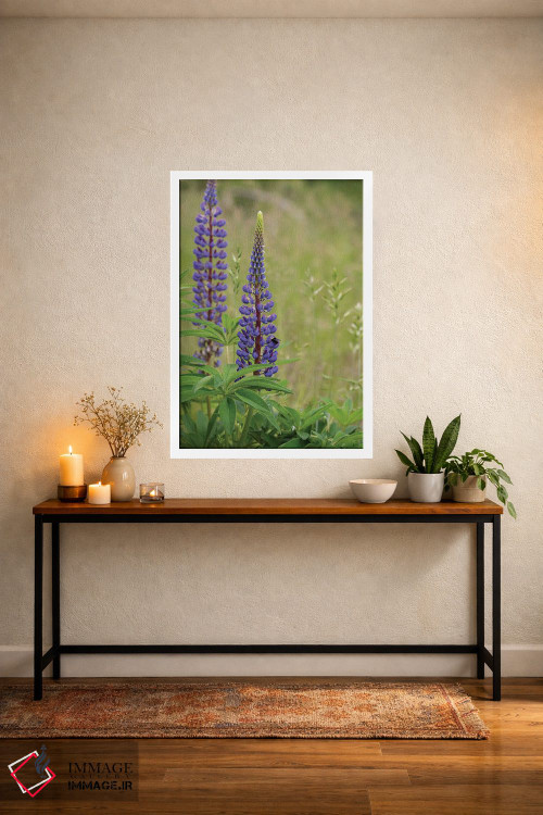 تابلو دکوراتیو زیبایی لوپین اثر لوئیس راث - D3W