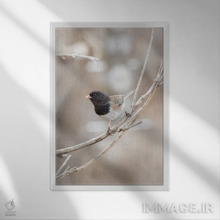 تابلو دکوراتیو روی شاخه من اثر لوئیس راث - نمای قابدار سفید