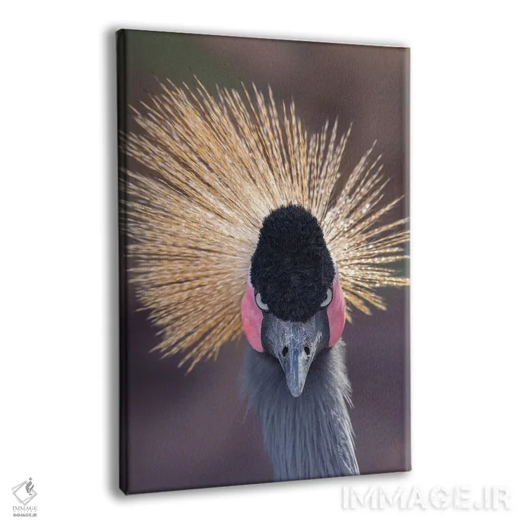 تابلو دکوراتیو خیره شدن درنا به دوربین اثر لوئیس راث - نمای پرسپکتیو محصول