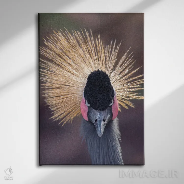 تابلو دکوراتیو خیره شدن درنا به دوربین اثر لوئیس راث - نمای روبهرو روی دیوار