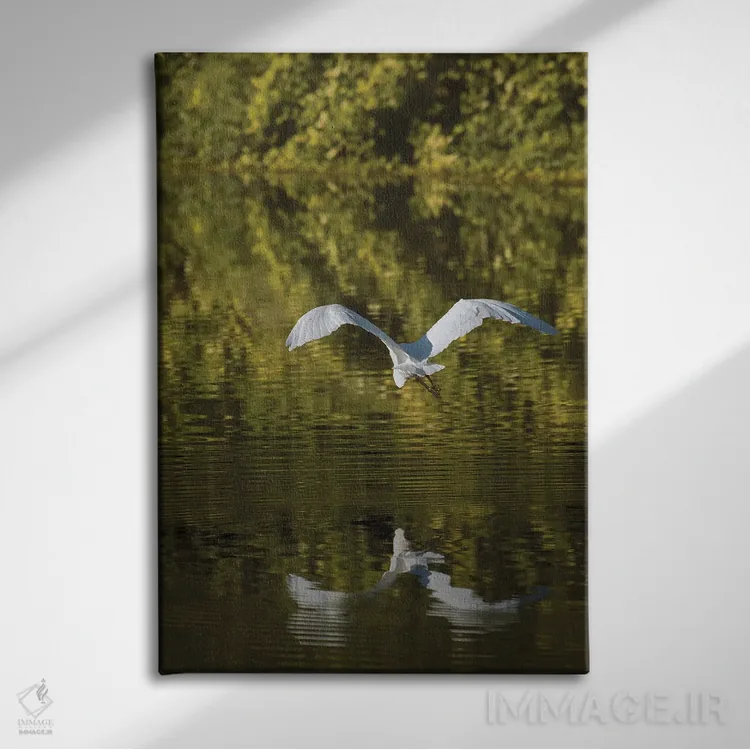 تابلو دکوراتیو اگرت بر فراز آب های طلایی اثر لوئیس راث - نمای روبهرو روی دیوار