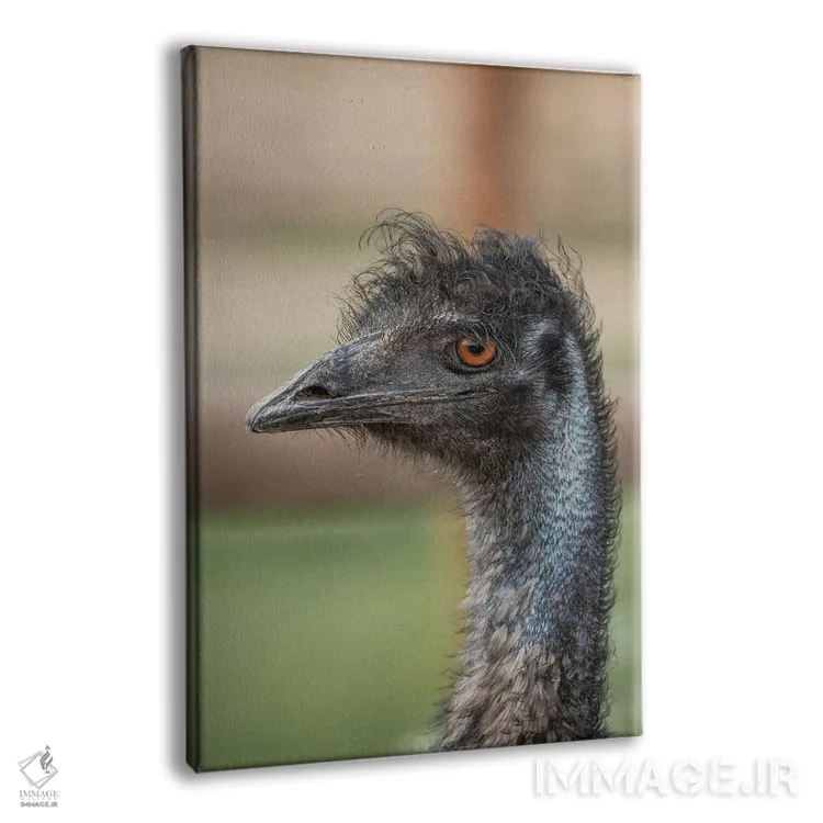 تابلو دکوراتیو خیره شدن ایمو اثر لوئیس راث - نمای پرسپکتیو محصول