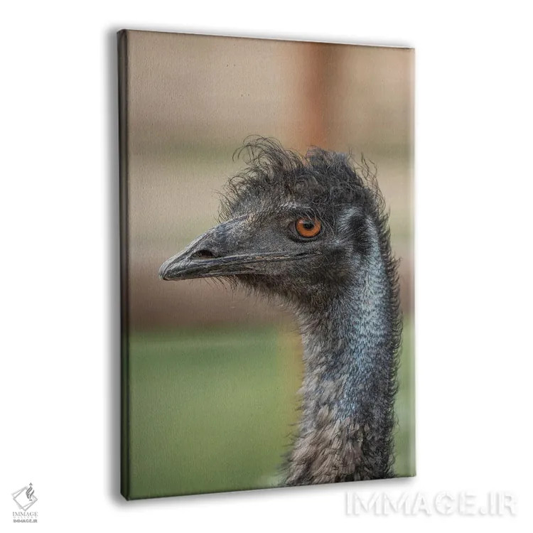 تابلو دکوراتیو خیره شدن ایمو اثر لوئیس راث - نمای پرسپکتیو محصول