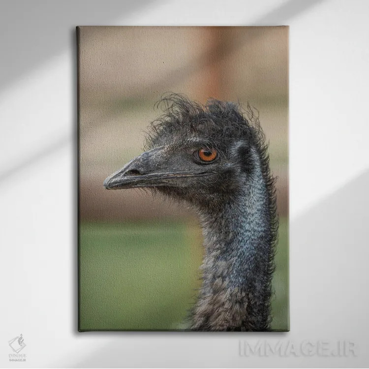 تابلو دکوراتیو خیره شدن ایمو اثر لوئیس راث - نمای روبهرو روی دیوار