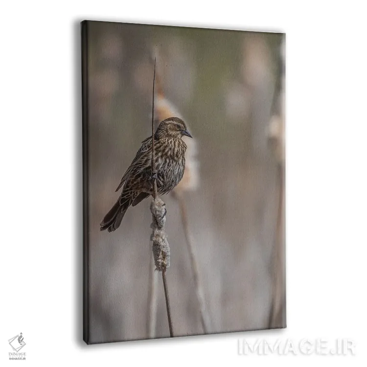 تابلو دکوراتیو من شادی برای آنان که گوش می دهند اثر لوئیس راث - نمای پرسپکتیو محصول