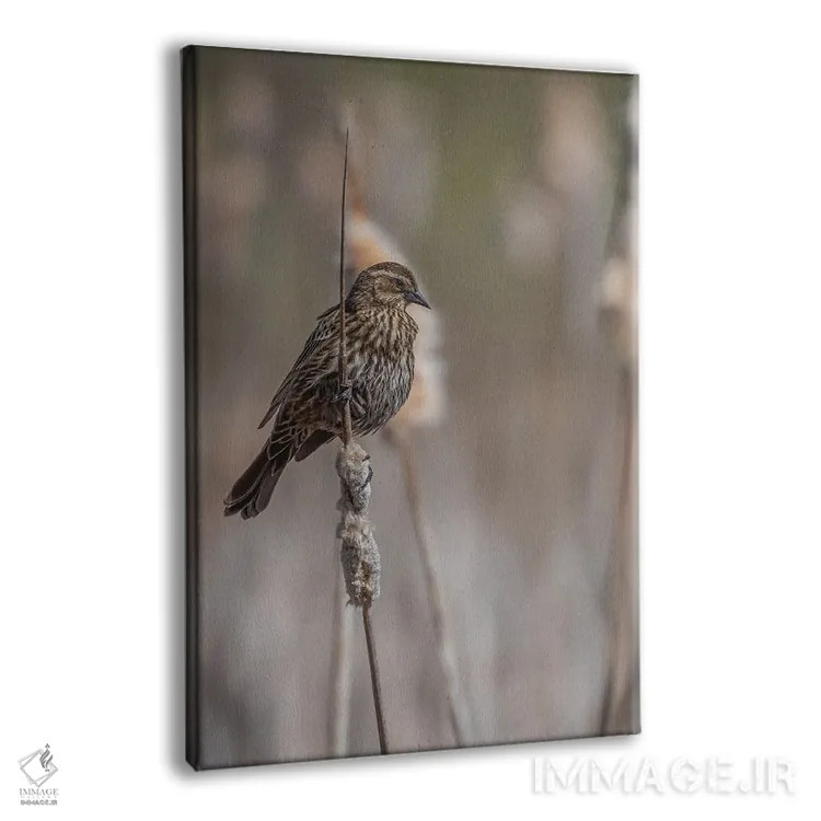 تابلو دکوراتیو من شادی برای آنان که گوش می دهند اثر لوئیس راث - نمای پرسپکتیو محصول