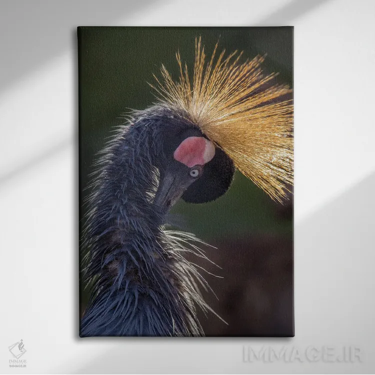 تابلو دکوراتیو درنا با سر خم شده اثر لوئیس راث - نمای روبهرو روی دیوار