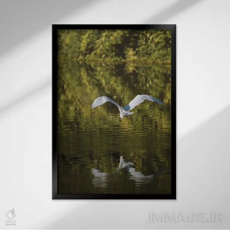 تابلو دکوراتیو اگرت بر فراز آب های طلایی اثر لوئیس راث - نمای قابدار مشکی