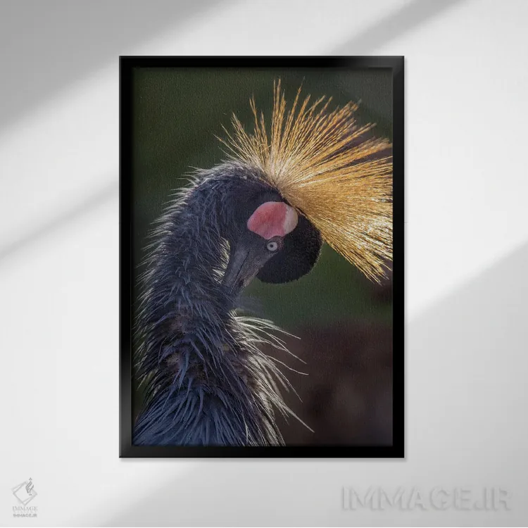 تابلو دکوراتیو درنا با سر خم شده اثر لوئیس راث - نمای قابدار مشکی