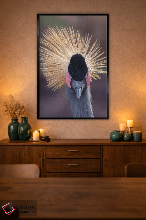 تابلو دکوراتیو خیره شدن درنا به دوربین اثر لوئیس راث - D2B