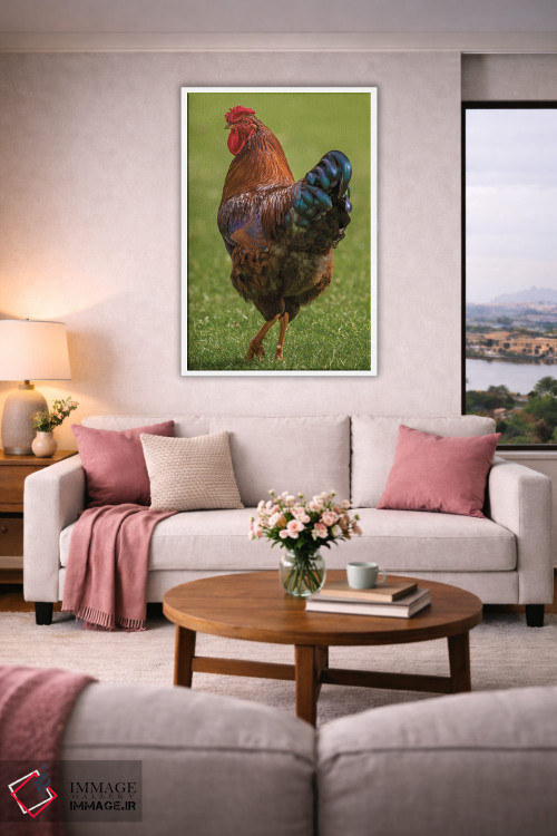 تابلو دکوراتیو به پاهای من نگاه کن، خروس! اثر لوئیس راث - D4W