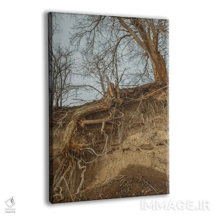 تابلو دکوراتیو ریشه دار اثر لوئیس راث - نمای پرسپکتیو محصول